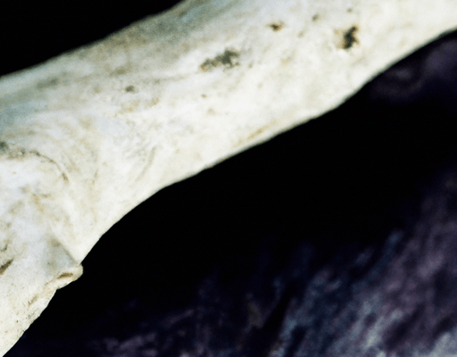 mohawk driftwood collective silver shadow