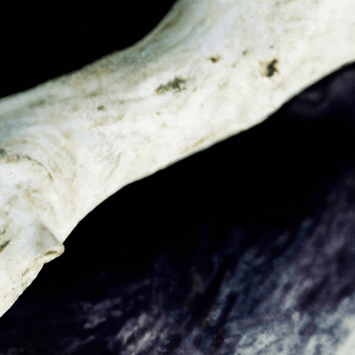 mohawk driftwood collective silver shadow