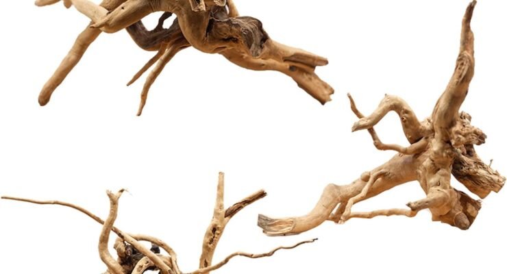 natural trunk driftwood tree review