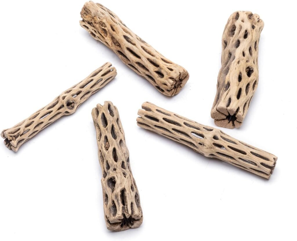 SubstrateSource Natural Cholla Wood Logs - Driftwood for Aquariums, Fish Tanks, Shrimp, Hermit Crabs, Reptiles - 4 and 6 Inch Pieces (6 Inch (2 Pack)) SubstrateSource Natural Cholla Wood Logs - Driftwood for Aquariums, Fish Tanks, Shrimp, Hermit Crabs, Reptiles - 4 and 6 Inch Pieces (6 Inch (2 Pack))