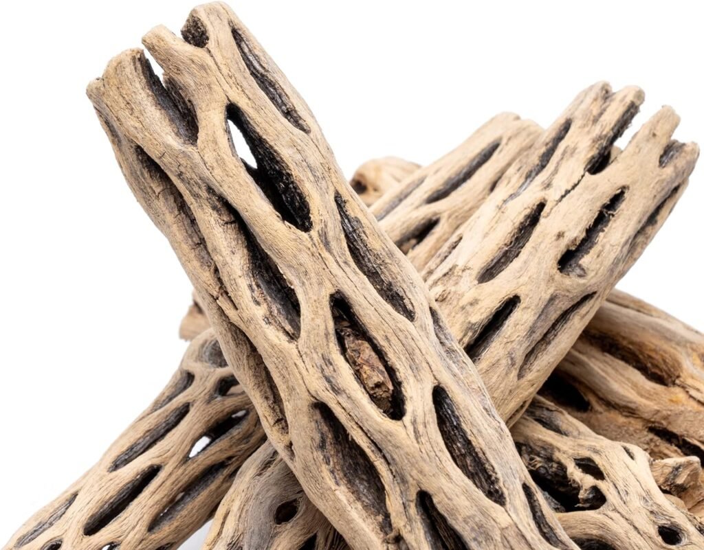 SubstrateSource Natural Cholla Wood Logs - Driftwood for Aquariums, Fish Tanks, Shrimp, Hermit Crabs, Reptiles - 4 and 6 Inch Pieces (6 Inch (2 Pack)) SubstrateSource Natural Cholla Wood Logs - Driftwood for Aquariums, Fish Tanks, Shrimp, Hermit Crabs, Reptiles - 4 and 6 Inch Pieces (6 Inch (2 Pack))