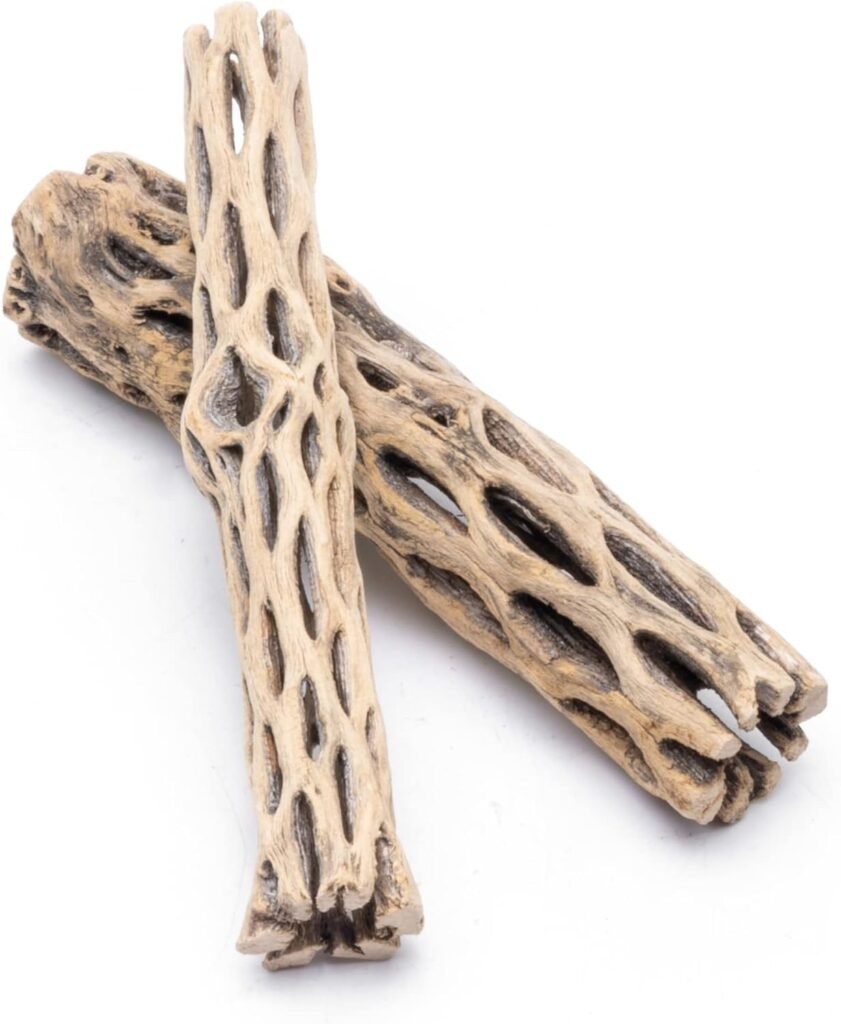 SubstrateSource Natural Cholla Wood Logs - Driftwood for Aquariums, Fish Tanks, Shrimp, Hermit Crabs, Reptiles - 4 and 6 Inch Pieces (6 Inch (2 Pack)) SubstrateSource Natural Cholla Wood Logs - Driftwood for Aquariums, Fish Tanks, Shrimp, Hermit Crabs, Reptiles - 4 and 6 Inch Pieces (6 Inch (2 Pack))