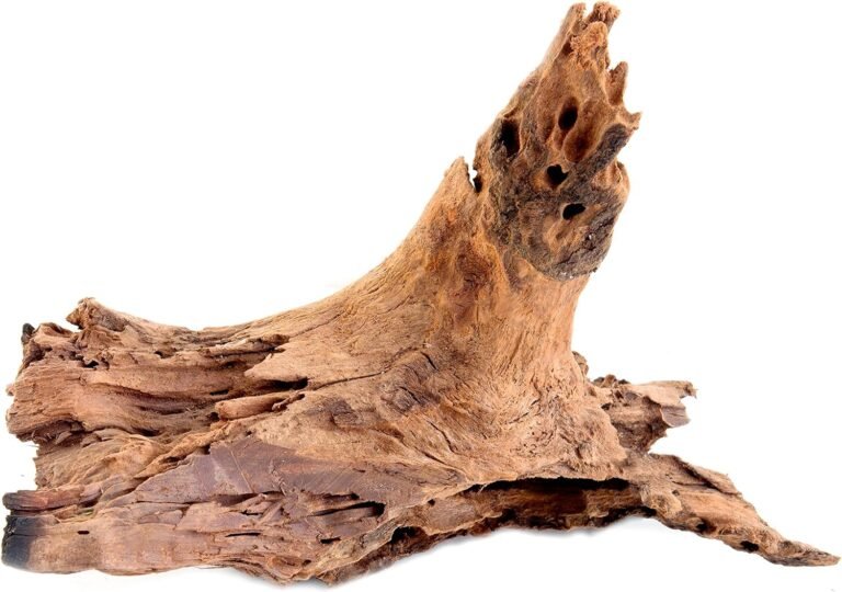 supermoss driftwood for air plants review