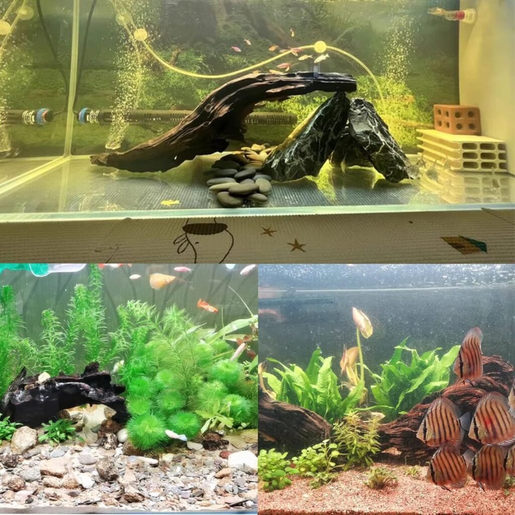 Tfwadmx Aquarium Natural Driftwood Decor Wood Branches 8.5-12 Fish Tank Decoration Reptile Habitat Assorted Trunk Terrarium Ornament(2 Pcs)