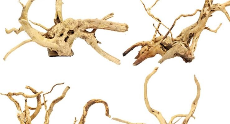 tfwadmx driftwood aquarium review