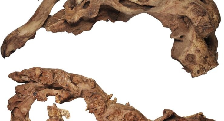 aucks natural large driftwood review