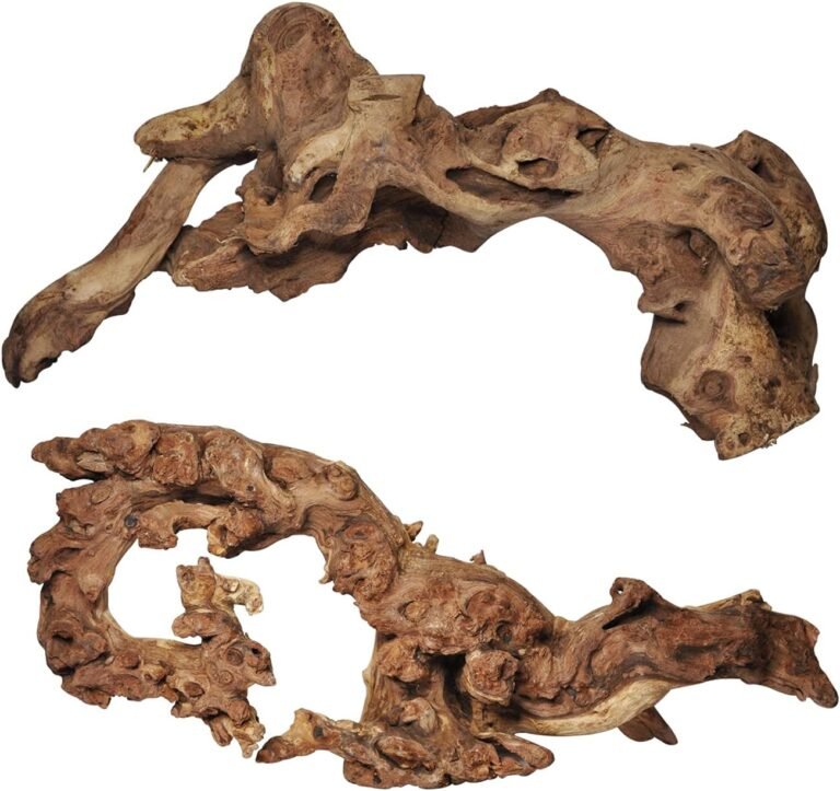 aucks natural large driftwood review