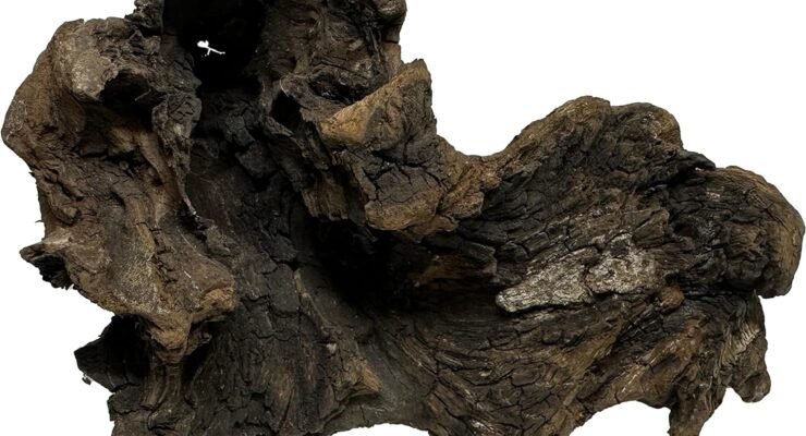 awesome aquatic driftwood review