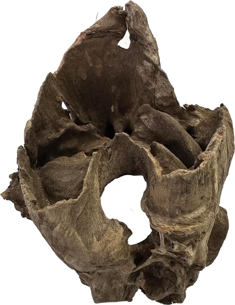 Awesome Aquatic Natural Small Driftwood 4” - 7” Nano Fish Aquarium, Shrimp Tank, Terrarium, Reptile Branch  Log Habitat Wood Decoration Arts  Crafts Decor (Small 4 - 7) Awesome Aquatic Natural Small Driftwood 4” - 7” Nano Fish Aquarium, Shrimp Tank, Terrarium, Reptile Branch  Log Habitat Wood Decoration Arts  Crafts Decor (Small 4 - 7)
