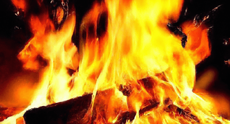 does driftwood burn well 2