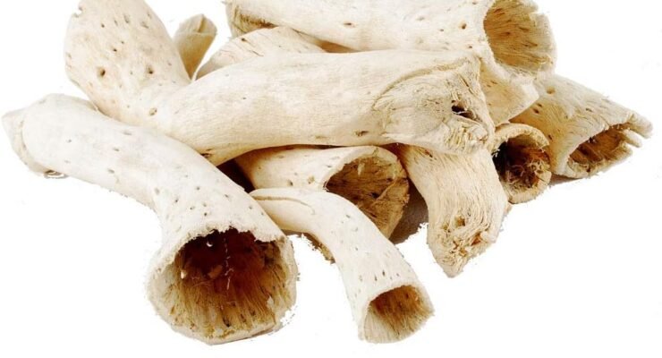 driftwood for natural home decoration review