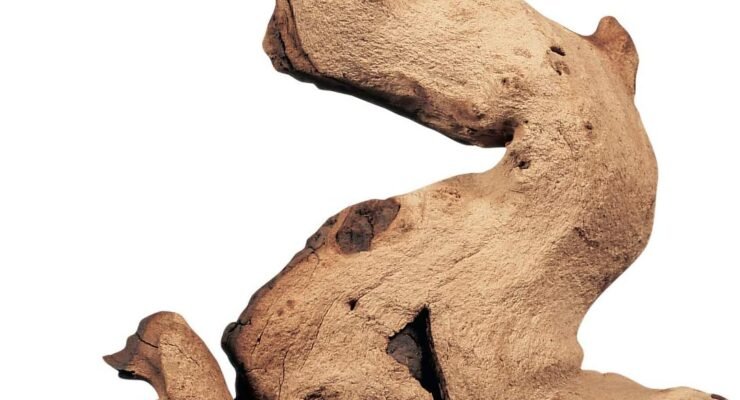 fluval mopani driftwood review