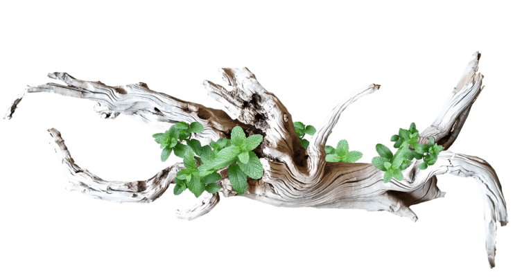 g9dd2d8055463cacf2c38e06d786bd059995b6c5568148cec0feb9ad43c8c4c14d2570a780c6918943fafc0d92ff340b5283e7d46c5bfbf5a292e2f75f9d69a5f 1280