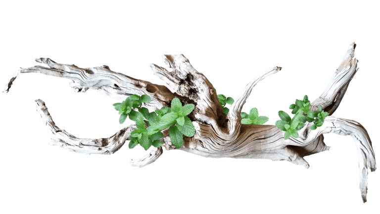 g9dd2d8055463cacf2c38e06d786bd059995b6c5568148cec0feb9ad43c8c4c14d2570a780c6918943fafc0d92ff340b5283e7d46c5bfbf5a292e2f75f9d69a5f 1280