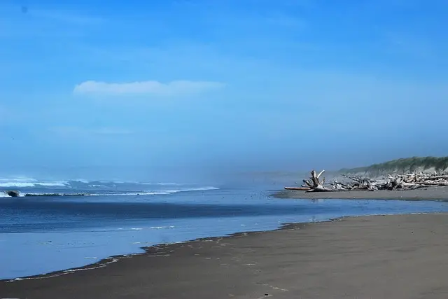 beach driftwood, ocean, oregon
