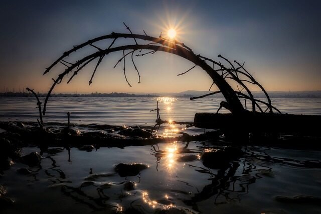 riverbank, nature, sunset