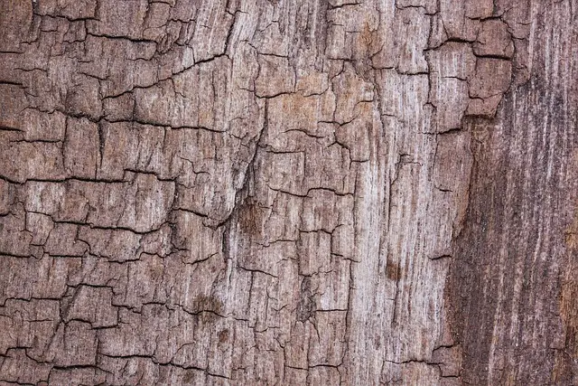 wood, structure, 4k wallpaper 1920x1080
