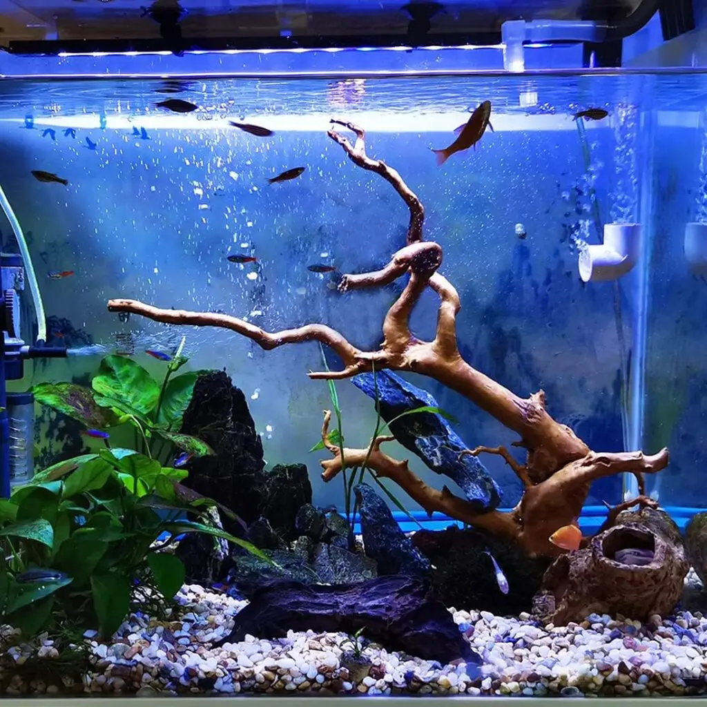 Hamiledyi 6 Pack Aquarium Driftwood Natural Spider Wood Branches Reptiles Aquarium Fish Tank Decoration Assorted(6 inch-8 inch)