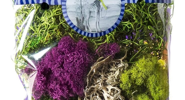 supermoss moss mix review
