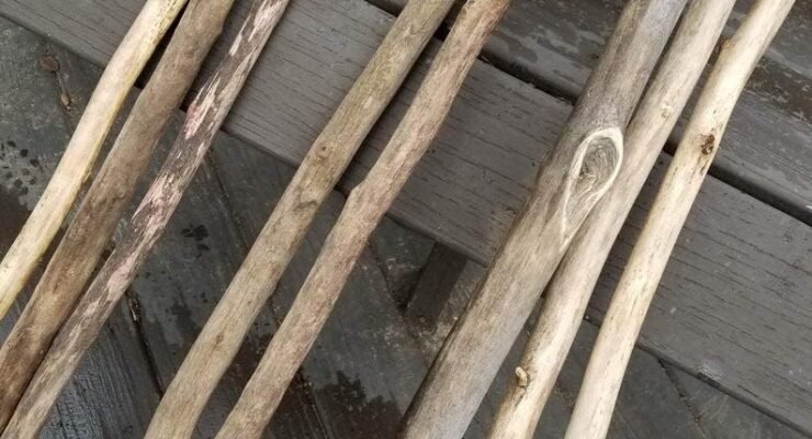 two driftwood poles 4 5 foot long beautiful vase or crafting decor review