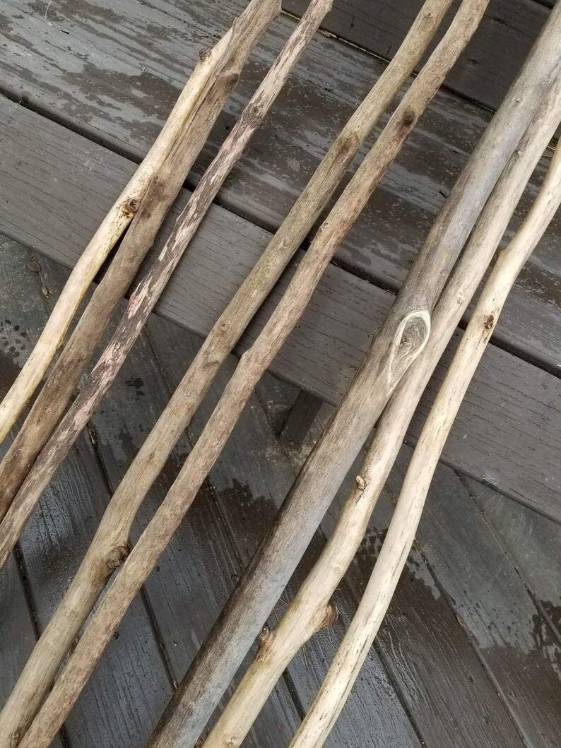 two driftwood poles 4 5 foot long beautiful vase or crafting decor review