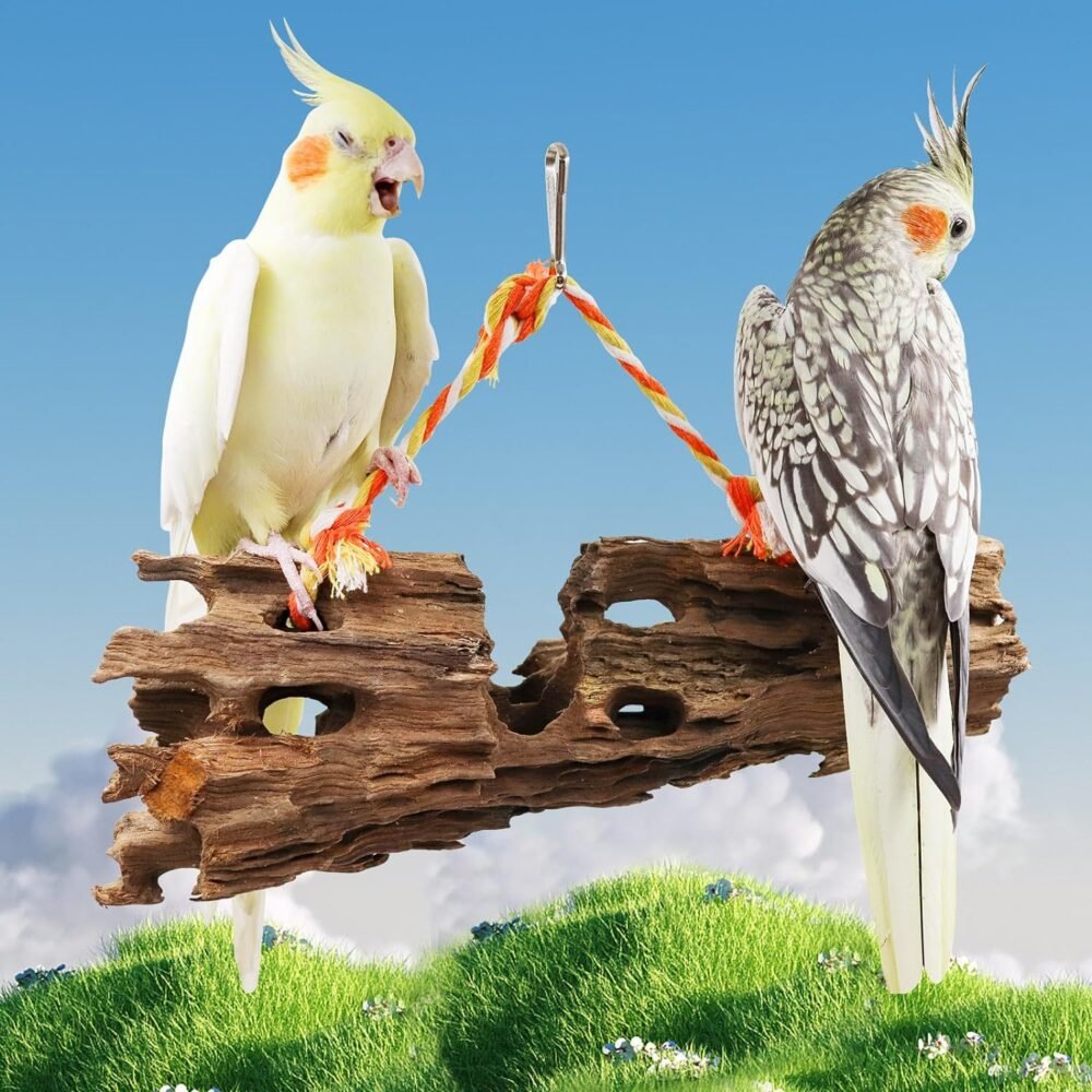 2 Pack Bird Swing Toys, Natural Driftwood Bird Chewing Toys, Bird Cage Accessory, 7.87-13.77 Inches Length Branches Decorations for Reptile Fish Aquarium Cage 2 Pack Bird Swing Toys, Natural Driftwood Bird Chewing Toys, Bird Cage Accessory, 7.87-13.77 Inches Length Branches Decorations for Reptile Fish Aquarium Cage
