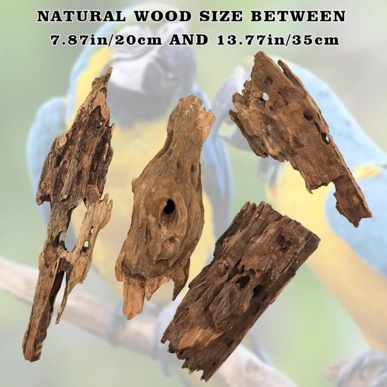 2 pack bird swing toys review