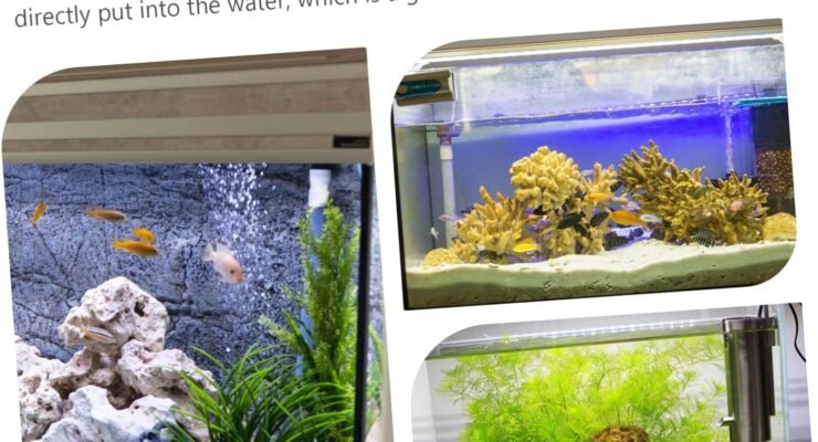 balacoo decor driftwood crafts fish tank ornament review