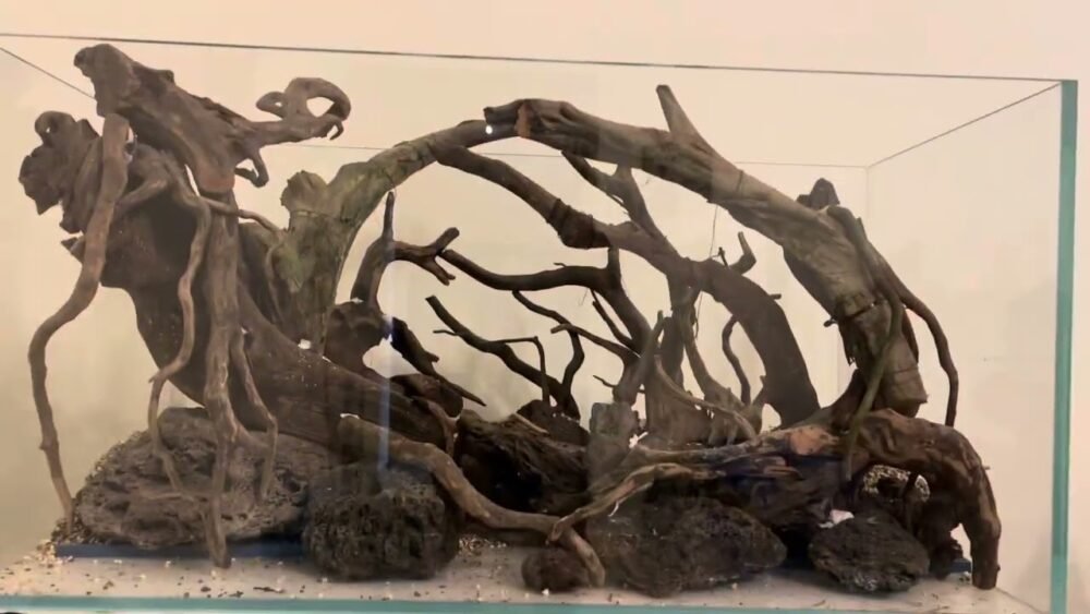 Creating a Stunning 90cm Aquascape: From Start to Finish Creating a Stunning 90cm Aquascape: From Start to Finish