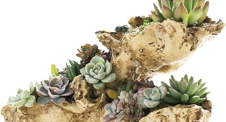 faux driftwood planter sculpture multilayer log planter review