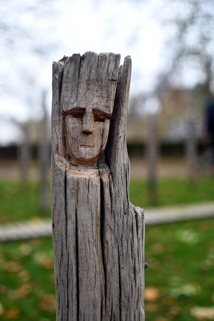 driftwood, wooden sculpture, sculpture