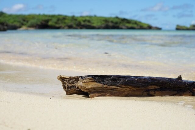 sandy, coast, sea