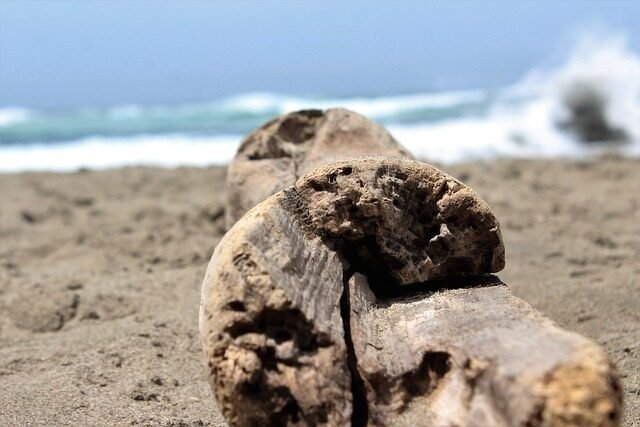 beach, driftwood, log