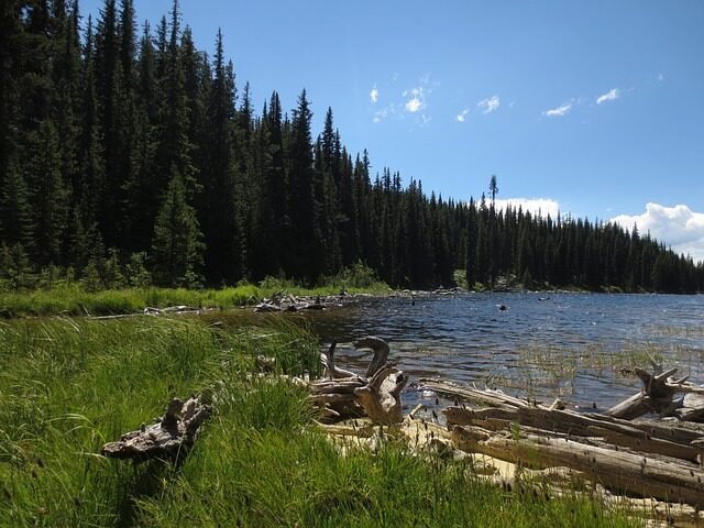 okanagan, landscape, lake shore