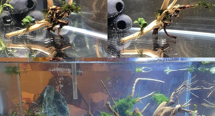 natural reptile branches wood review