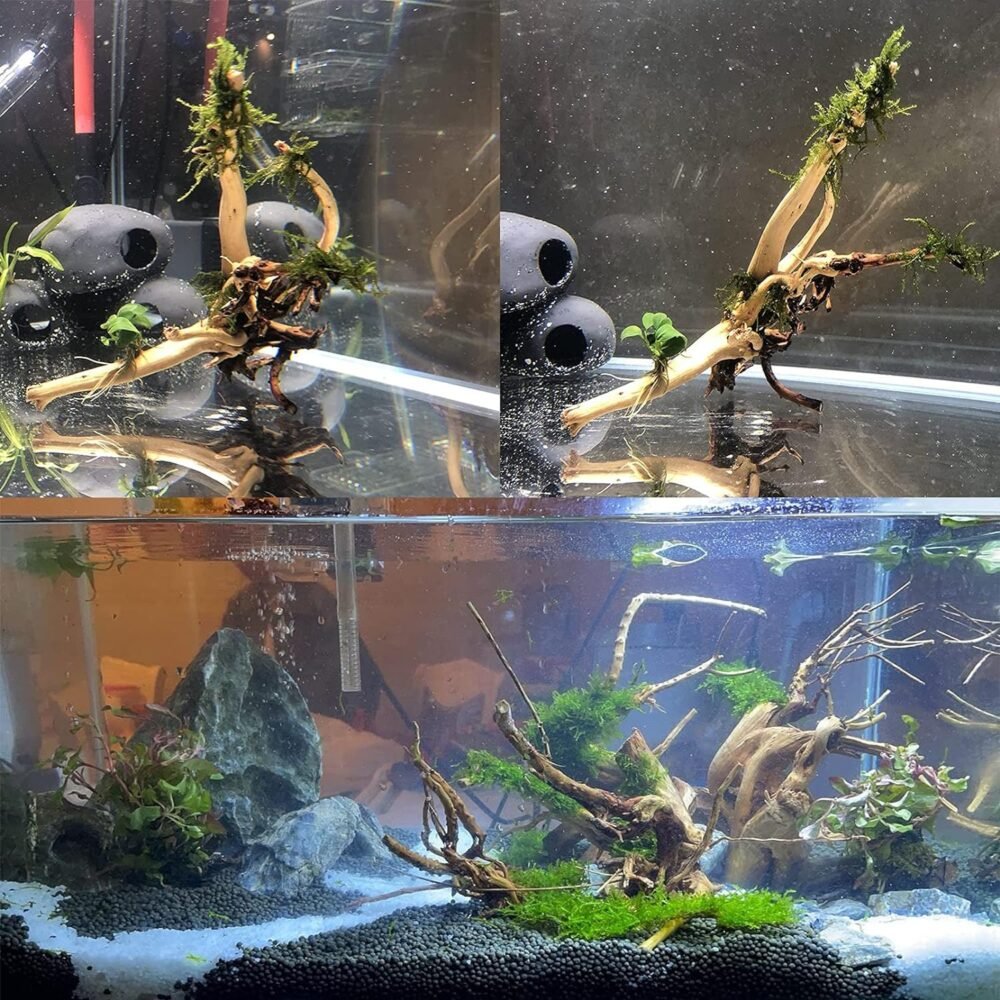 natural reptile branches wood review