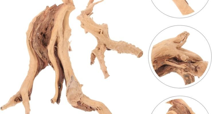 nolitoy 2pcs decor driftwood wood crafts fish tank ornament review