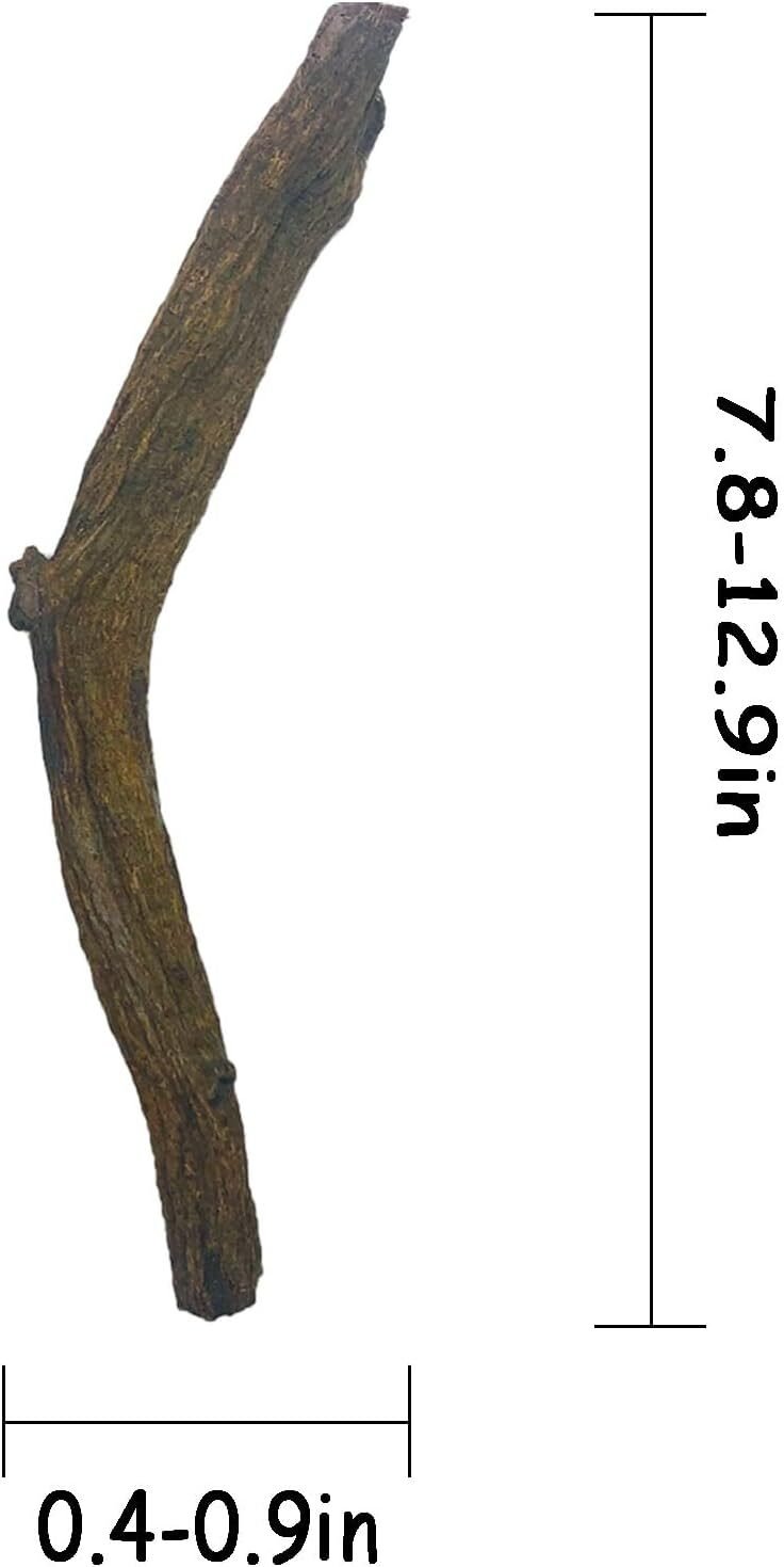 Reptile Decor Natural Forest Branch Terrarium Habitat Decoration Lizard Climbing Tree Branch for Bearded Dragon Gecko Snake Frog Chameleon Spider 3PCS Reptile Decor Natural Forest Branch Terrarium Habitat Decoration Lizard Climbing Tree Branch for Bearded Dragon Gecko Snake Frog Chameleon Spider 3PCS