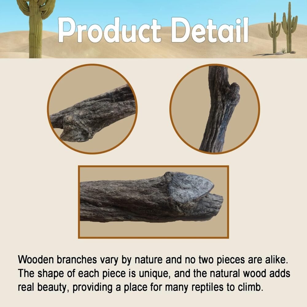 Reptile Decor Natural Forest Branch Terrarium Habitat Decoration Lizard Climbing Tree Branch for Bearded Dragon Gecko Snake Frog Chameleon Spider 3PCS Reptile Decor Natural Forest Branch Terrarium Habitat Decoration Lizard Climbing Tree Branch for Bearded Dragon Gecko Snake Frog Chameleon Spider 3PCS