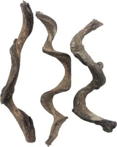 reptile decor review