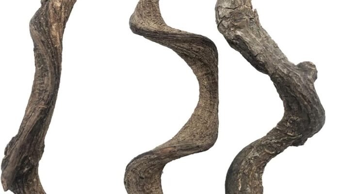 reptile decor review