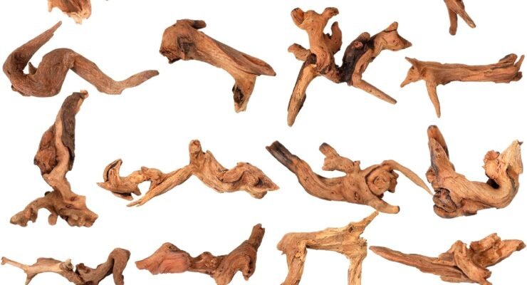 suzile coral driftwood review