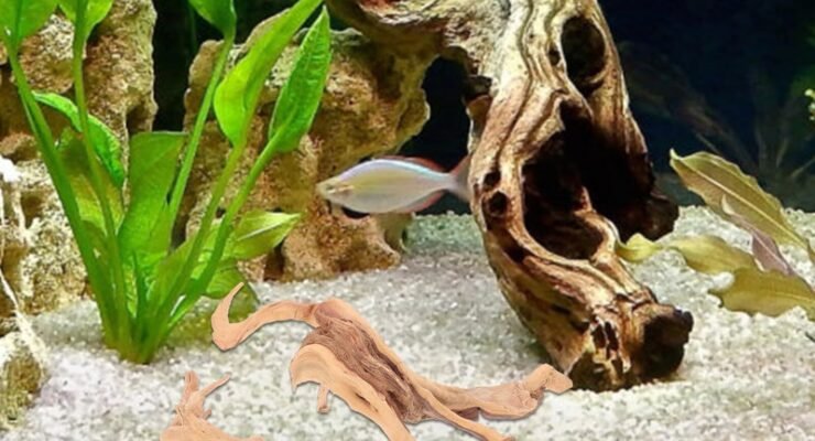 abaodam decor driftwood review