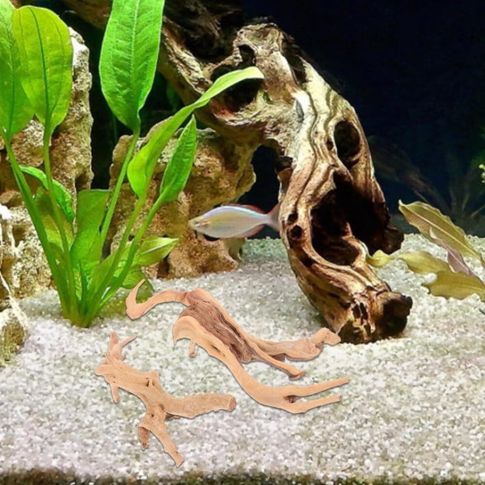 abaodam decor driftwood review