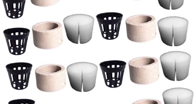 balacoo 1 set aquarium driftwood review