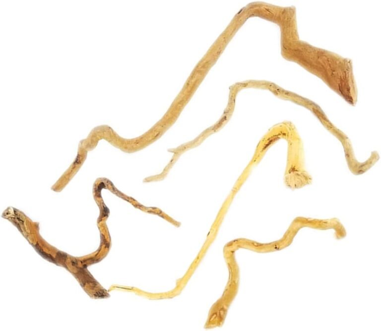 balacoo 5pcs root natural branches branch for underwater stump wood color tank ornament plant rhododendron accessories d 6