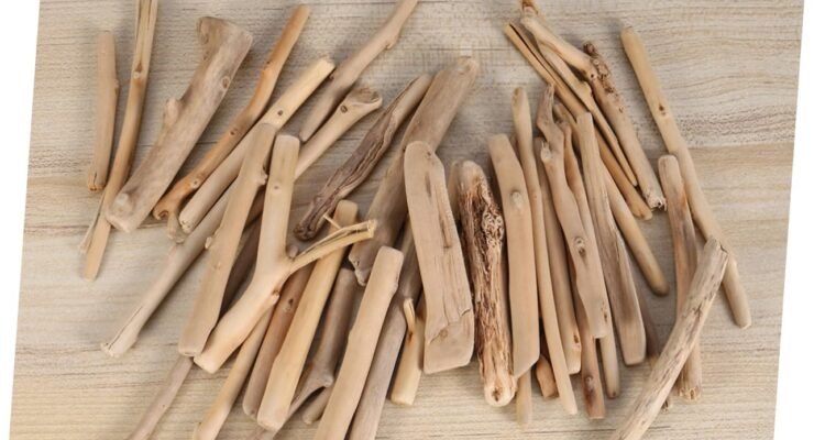 balacoo mini driftwood review