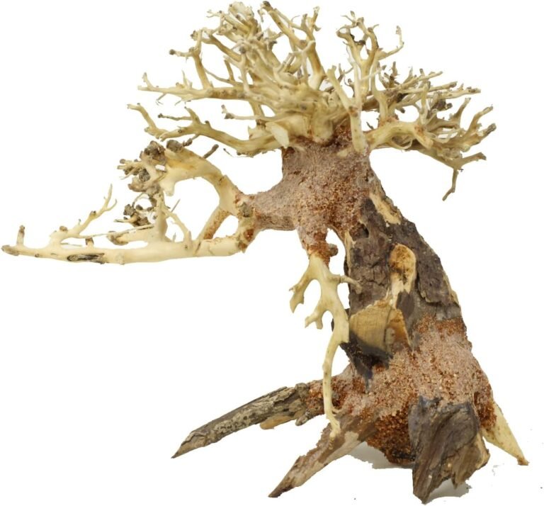 bonsai driftwood aquarium tree tt8 random pick review