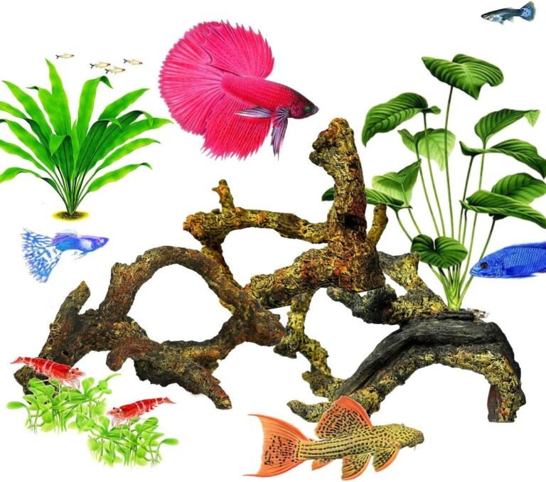 corisrx driftwood review