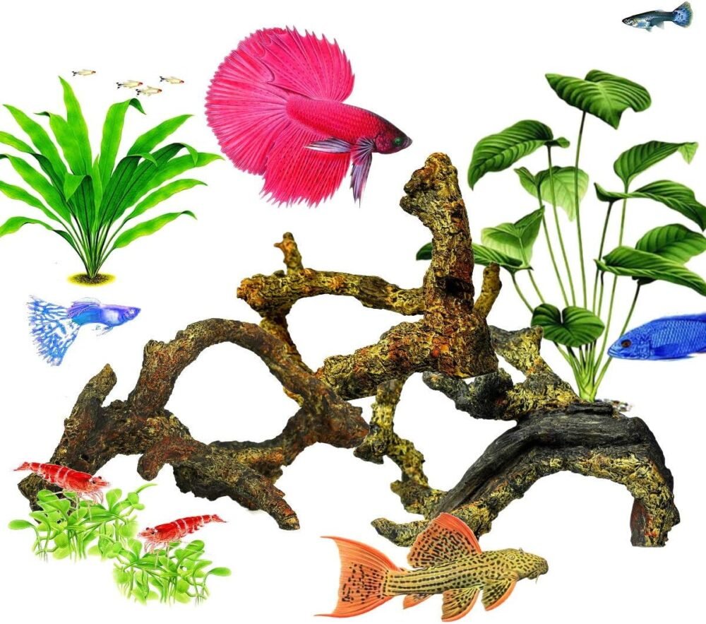 corisrx driftwood review